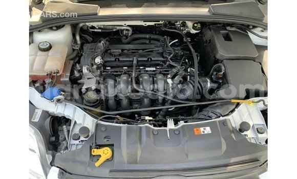 Hividy Ford Focus fotsy Car in Import - Dubai in Diana Hividy Ford Focus fotsy Car in Import - Dubai in Diana