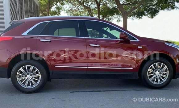 Hividy Cadillac XT5 Red Car in Import - Dubai in Diana Hividy Cadillac XT5 Red Car in Import - Dubai in Diana