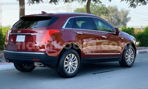 Hividy Cadillac XT5 Red Car in Import - Dubai in Diana Hividy Cadillac XT5 Red Car in Import - Dubai in Diana