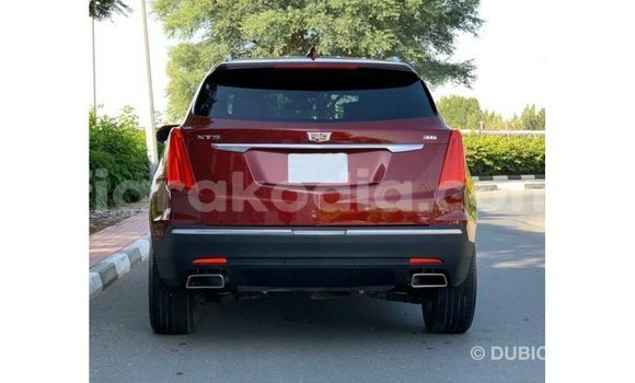 Hividy Cadillac XT5 Red Car in Import - Dubai in Diana Hividy Cadillac XT5 Red Car in Import - Dubai in Diana