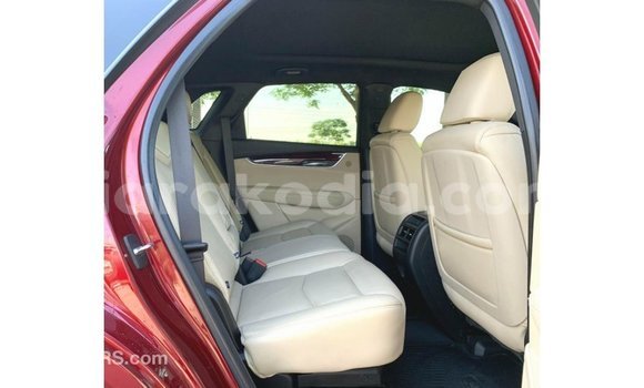 Hividy Cadillac XT5 Red Car in Import - Dubai in Diana Hividy Cadillac XT5 Red Car in Import - Dubai in Diana