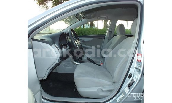 Hividy Toyota Corolla Hafa Car in Import - Dubai in Diana Hividy Toyota Corolla Hafa Car in Import - Dubai in Diana