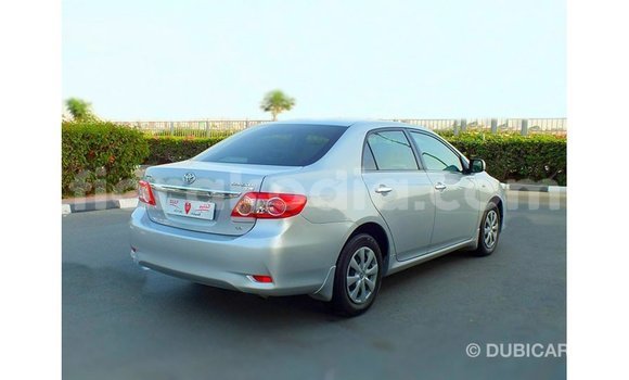 Hividy Toyota Corolla Hafa Car in Import - Dubai in Diana Hividy Toyota Corolla Hafa Car in Import - Dubai in Diana