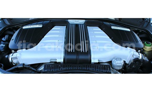 Hividy Bentley Flying Spur Hafa Car in Import - Dubai in Diana Hividy Bentley Flying Spur Hafa Car in Import - Dubai in Diana