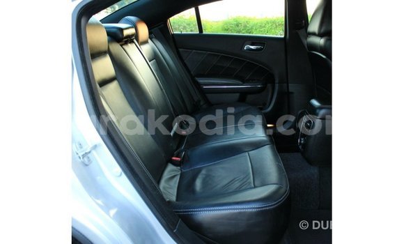 Hividy Dodge Charger Hafa Car in Import - Dubai in Diana Hividy Dodge Charger Hafa Car in Import - Dubai in Diana