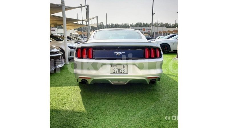 Big with watermark ford mustang diana import dubai 6278