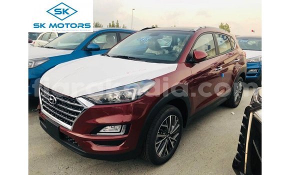 Hividy Hyundai Tucson Hafa Car in Import - Dubai in Diana Hividy Hyundai Tucson Hafa Car in Import - Dubai in Diana
