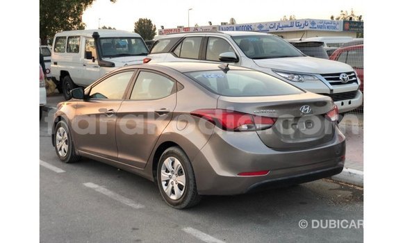 Hividy Hyundai Elantra Brown Car in Import - Dubai in Diana Hividy Hyundai Elantra Brown Car in Import - Dubai in Diana