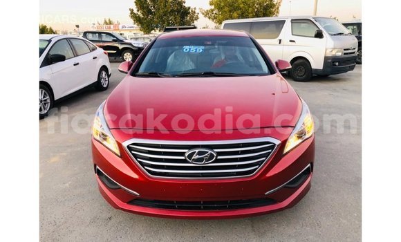 Buy Import Hyundai Sonata Red Car in Import - Dubai in Diana Buy Import Hyundai Sonata Red Car in Import - Dubai in Diana