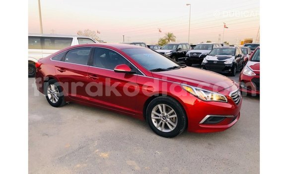 Buy Import Hyundai Sonata Red Car in Import - Dubai in Diana Buy Import Hyundai Sonata Red Car in Import - Dubai in Diana