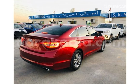 Buy Import Hyundai Sonata Red Car in Import - Dubai in Diana Buy Import Hyundai Sonata Red Car in Import - Dubai in Diana