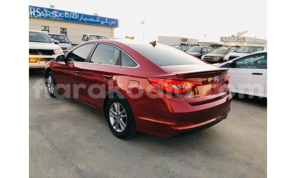 Buy Import Hyundai Sonata Red Car in Import - Dubai in Diana Buy Import Hyundai Sonata Red Car in Import - Dubai in Diana