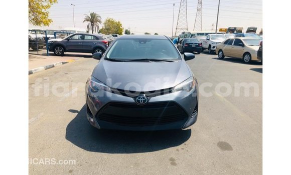 Buy Import Toyota Corolla Other Car in Import - Dubai in Diana Buy Import Toyota Corolla Other Car in Import - Dubai in Diana