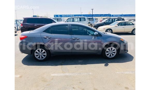 Buy Import Toyota Corolla Other Car in Import - Dubai in Diana Buy Import Toyota Corolla Other Car in Import - Dubai in Diana