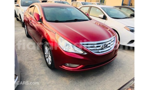 Buy Import Hyundai Sonata Red Car in Import - Dubai in Diana Buy Import Hyundai Sonata Red Car in Import - Dubai in Diana