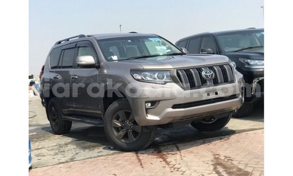 Buy Import Toyota Prado Brown Car in Import - Dubai in Diana