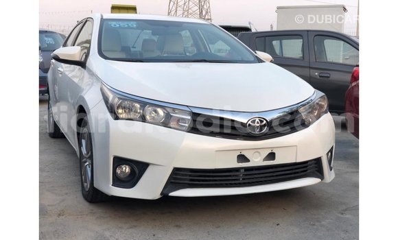 Hividy Toyota Corolla fotsy Car in Import - Dubai in Diana Hividy Toyota Corolla fotsy Car in Import - Dubai in Diana