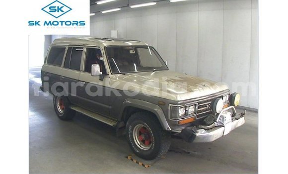 Acheter Import Voiture Toyota Land Cruiser Autre à Import - Dubai, Diana Acheter Import Voiture Toyota Land Cruiser Autre à Import - Dubai, Diana