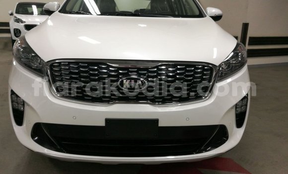 Buy Import Kia Sorento White Car in Import - Dubai in Diana Buy Import Kia Sorento White Car in Import - Dubai in Diana