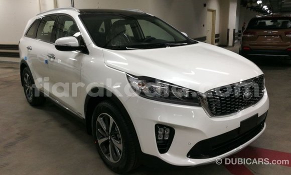 Buy Import Kia Sorento White Car in Import - Dubai in Diana Buy Import Kia Sorento White Car in Import - Dubai in Diana