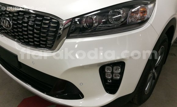 Buy Import Kia Sorento White Car in Import - Dubai in Diana Buy Import Kia Sorento White Car in Import - Dubai in Diana