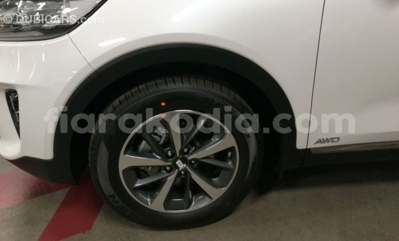 Buy Import Kia Sorento White Car in Import - Dubai in Diana Buy Import Kia Sorento White Car in Import - Dubai in Diana