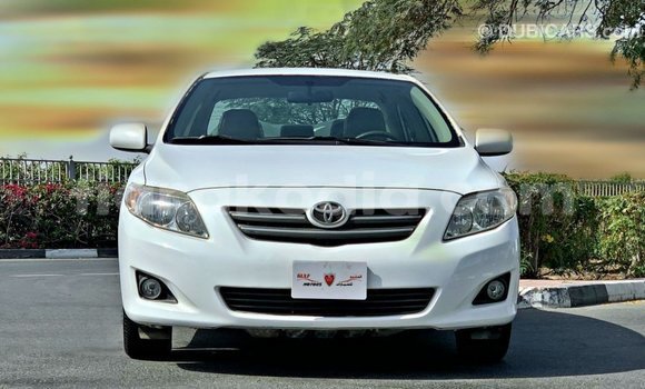 Buy Import Toyota Corolla White Car in Import - Dubai in Diana Buy Import Toyota Corolla White Car in Import - Dubai in Diana