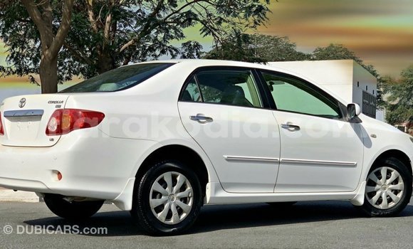 Buy Import Toyota Corolla White Car in Import - Dubai in Diana Buy Import Toyota Corolla White Car in Import - Dubai in Diana
