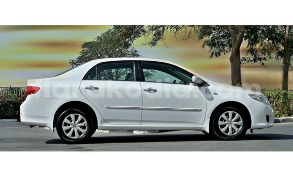 Buy Import Toyota Corolla White Car in Import - Dubai in Diana Buy Import Toyota Corolla White Car in Import - Dubai in Diana