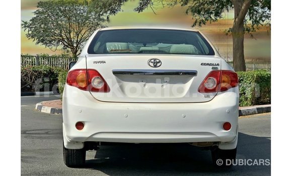Buy Import Toyota Corolla White Car in Import - Dubai in Diana Buy Import Toyota Corolla White Car in Import - Dubai in Diana