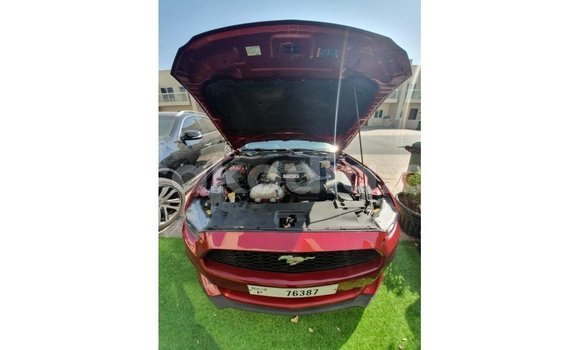 Acheter Import Voiture Ford Mustang Rouge à Import - Dubai, Diana Acheter Import Voiture Ford Mustang Rouge à Import - Dubai, Diana