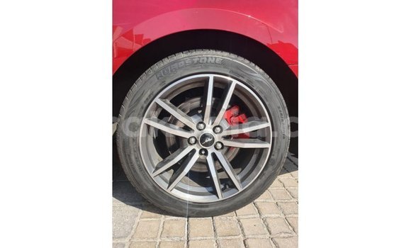 Acheter Import Voiture Ford Mustang Rouge à Import - Dubai, Diana Acheter Import Voiture Ford Mustang Rouge à Import - Dubai, Diana
