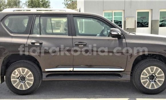 Buy Import Toyota Prado Brown Car in Import - Dubai in Diana Buy Import Toyota Prado Brown Car in Import - Dubai in Diana