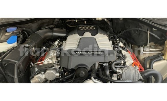 Hividy Audi Q7 Hafa Car in Import - Dubai in Diana Hividy Audi Q7 Hafa Car in Import - Dubai in Diana