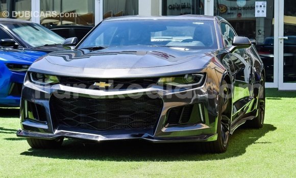 Buy Import Chevrolet Camaro Other Car in Import - Dubai in Diana Buy Import Chevrolet Camaro Other Car in Import - Dubai in Diana
