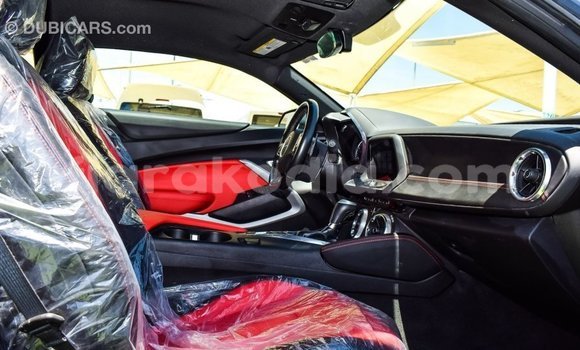Buy Import Chevrolet Camaro Other Car in Import - Dubai in Diana Buy Import Chevrolet Camaro Other Car in Import - Dubai in Diana