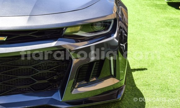 Buy Import Chevrolet Camaro Other Car in Import - Dubai in Diana Buy Import Chevrolet Camaro Other Car in Import - Dubai in Diana