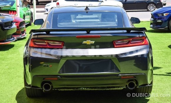 Buy Import Chevrolet Camaro Other Car in Import - Dubai in Diana Buy Import Chevrolet Camaro Other Car in Import - Dubai in Diana