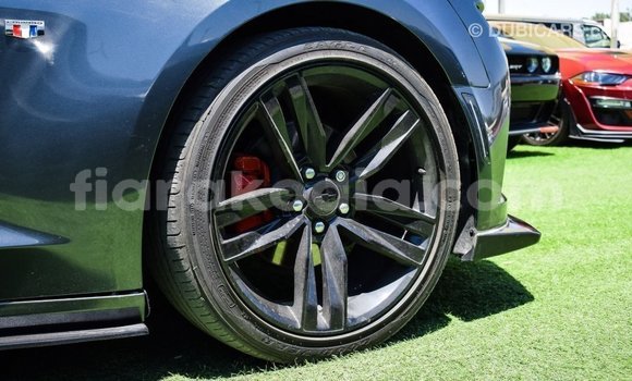 Buy Import Chevrolet Camaro Other Car in Import - Dubai in Diana Buy Import Chevrolet Camaro Other Car in Import - Dubai in Diana
