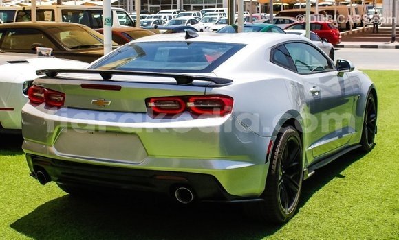 Buy Import Chevrolet Camaro Other Car in Import - Dubai in Diana Buy Import Chevrolet Camaro Other Car in Import - Dubai in Diana