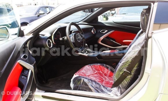 Buy Import Chevrolet Camaro Other Car in Import - Dubai in Diana Buy Import Chevrolet Camaro Other Car in Import - Dubai in Diana