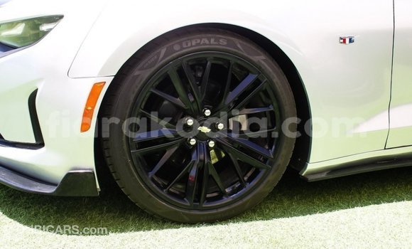 Buy Import Chevrolet Camaro Other Car in Import - Dubai in Diana Buy Import Chevrolet Camaro Other Car in Import - Dubai in Diana