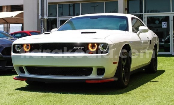Acheter Import Voiture Dodge Challenger Blanc à Import - Dubai, Diana