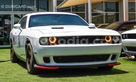 Buy Import Dodge Challenger White Car in Import - Dubai in Diana Buy Import Dodge Challenger White Car in Import - Dubai in Diana