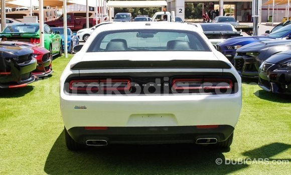 Buy Import Dodge Challenger White Car in Import - Dubai in Diana Buy Import Dodge Challenger White Car in Import - Dubai in Diana