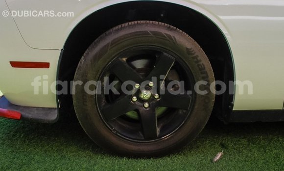 Buy Import Dodge Challenger White Car in Import - Dubai in Diana Buy Import Dodge Challenger White Car in Import - Dubai in Diana