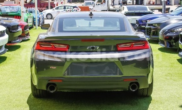 Buy Import Chevrolet Camaro Other Car in Import - Dubai in Diana Buy Import Chevrolet Camaro Other Car in Import - Dubai in Diana
