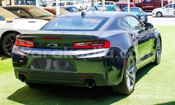 Buy Import Chevrolet Camaro Other Car in Import - Dubai in Diana Buy Import Chevrolet Camaro Other Car in Import - Dubai in Diana