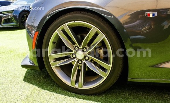 Buy Import Chevrolet Camaro Other Car in Import - Dubai in Diana Buy Import Chevrolet Camaro Other Car in Import - Dubai in Diana