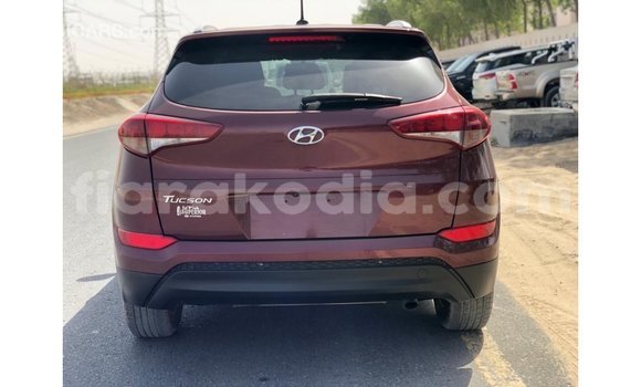 Hividy Hyundai Tucson Red Car in Import - Dubai in Diana Hividy Hyundai Tucson Red Car in Import - Dubai in Diana